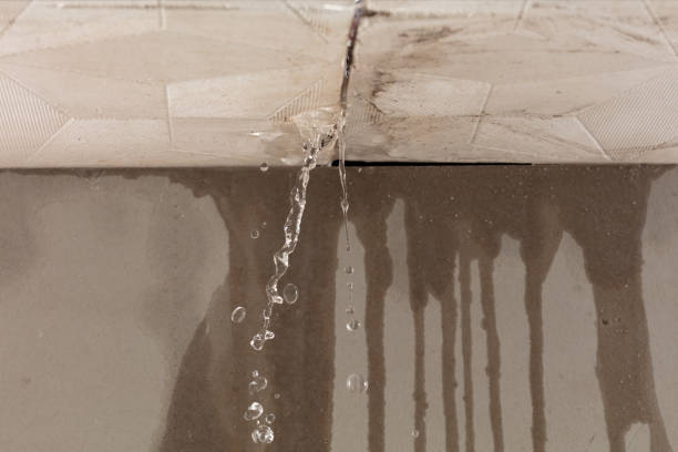 Professional Structural Drying technician working in Young, AZ